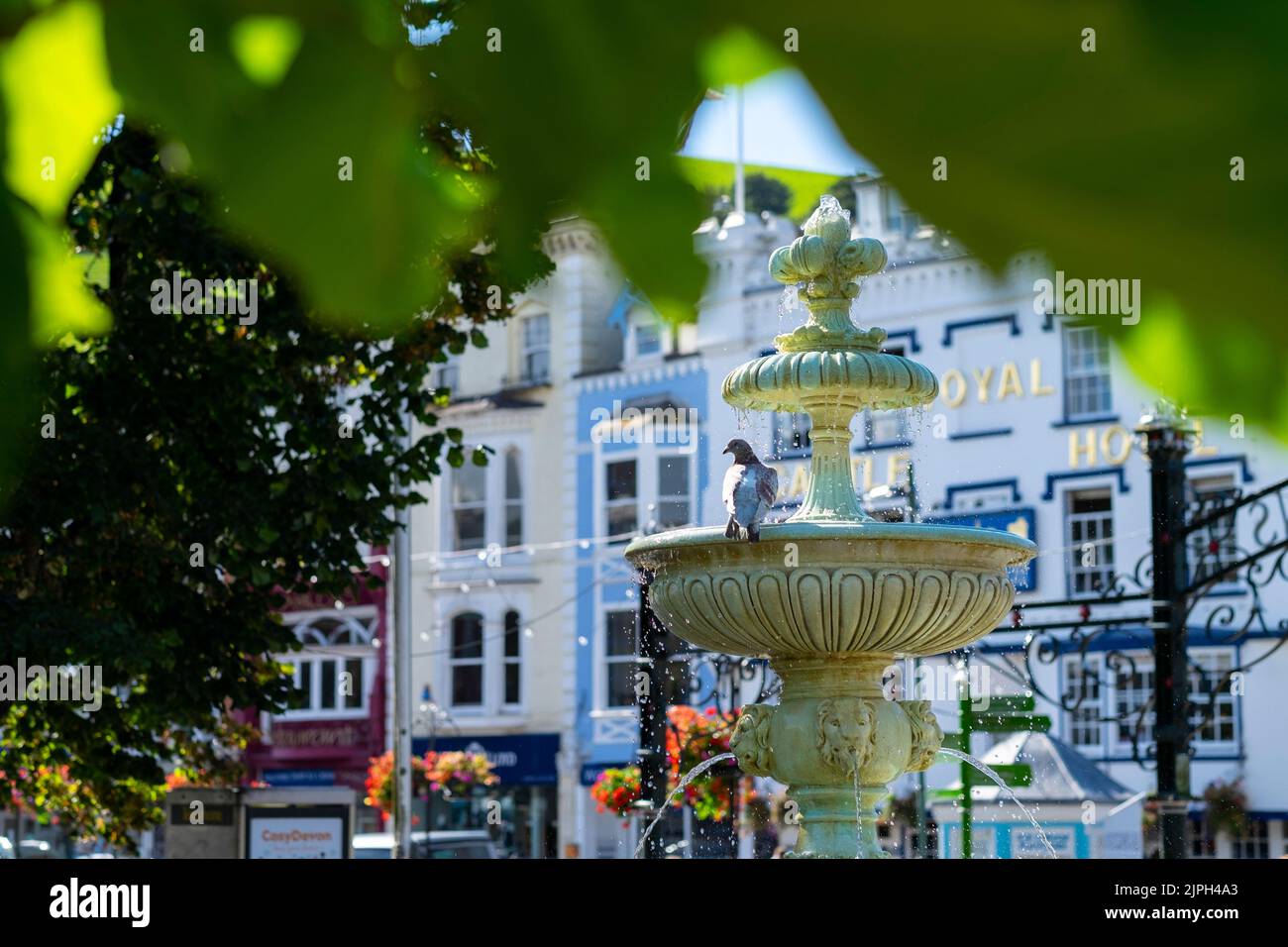 Pigeon sur la fontaine Dartmouth Devon Banque D'Images