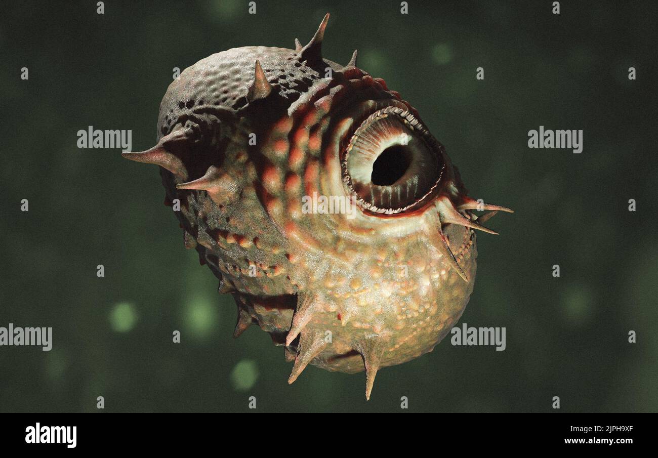 Reconstruction du Saccorhytus coronarius, à partir d'un fossile que l'on croit être un deuterostome humain ancestral trouvé en Chine Banque D'Images