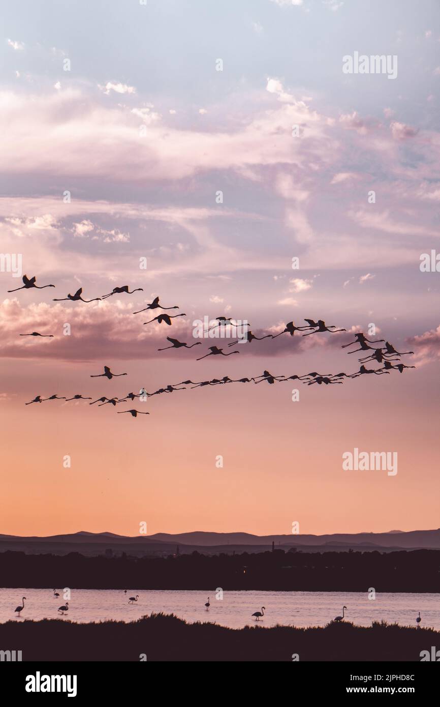 le coucher de soleil parfait Banque D'Images
