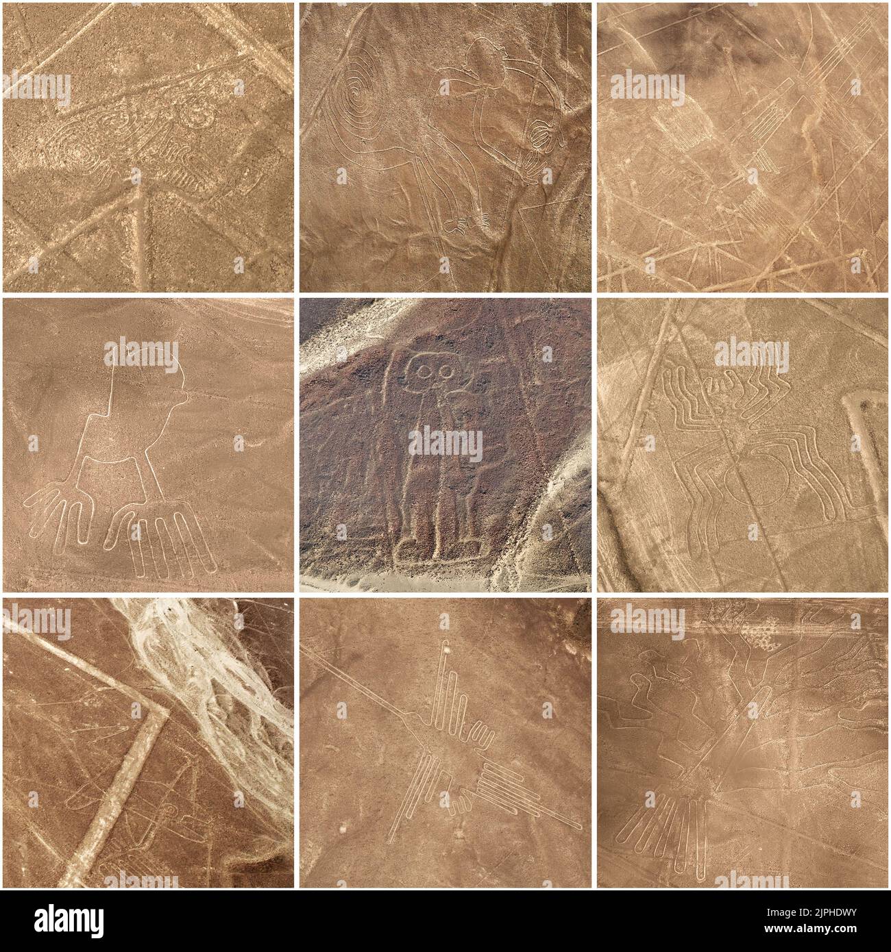 Nazca Lines, Pérou - Patrimoine de l'UNESCO (en haut à gauche : scorpion, singe, oiseau de mer, main, géant, araignée, baleine, colibri, arbre) Banque D'Images