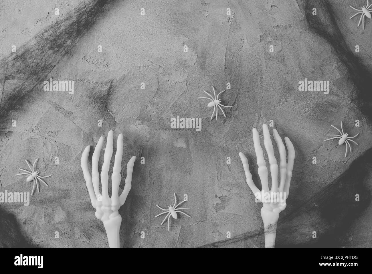 Mystère Halloween plat avec les mains de squelette de monstre, araignée noire toile d'araignée et araignées blanches, fond gris foncé. Maquette de banderole Happy Halloween. Vue de dessus, espace de copie Banque D'Images