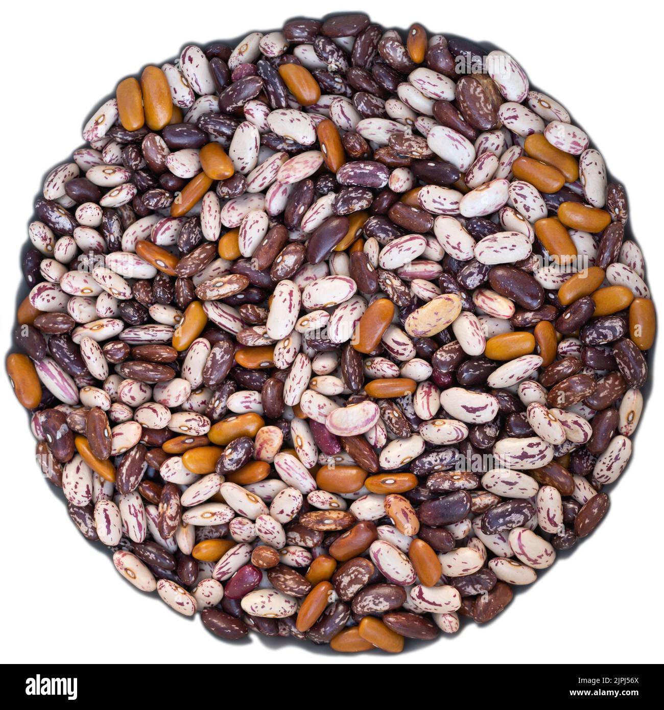 Différentes variétés de haricots dans un cercle. Différentes couleurs de haricots Banque D'Images