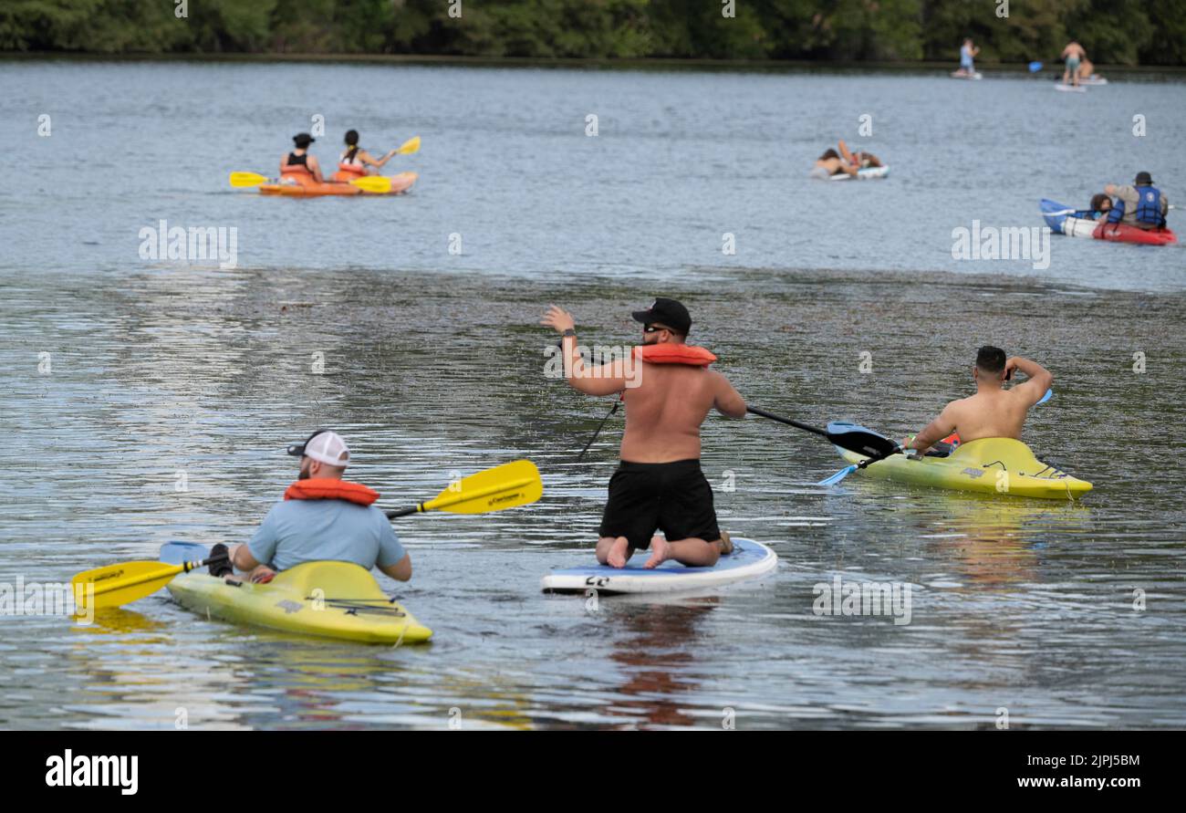 Austin Texas Etats-Unis, 14 août 2022: Des kayakistes et des paddleboarders stand up partagent l'eau lors d'un week-end d'été paresseux après-midi sur le lac Lady Bird près du centre-ville. ©Bob Daemmrich Banque D'Images