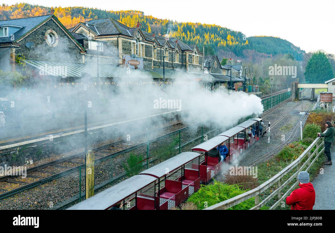 Le train à vapeur Minature, qui opère à la gare de Betws-Y-Coed, au nord du pays de Galles. Photo prise en décembre 2021. Banque D'Images