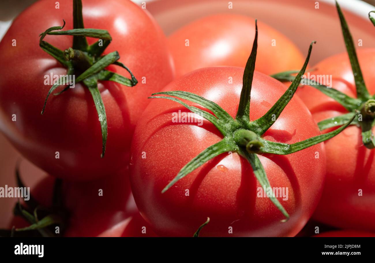 Tomates mûres isolées. Légumes rouges en gros plan. Tomates mûres savoureuses aux tiges vertes. Banque D'Images