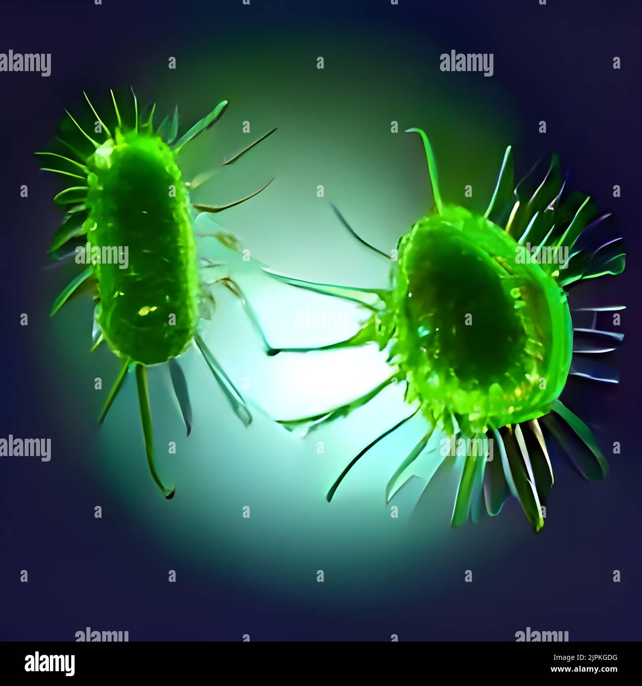 Vue microscopique des bactéries. 3d illustration Banque D'Images