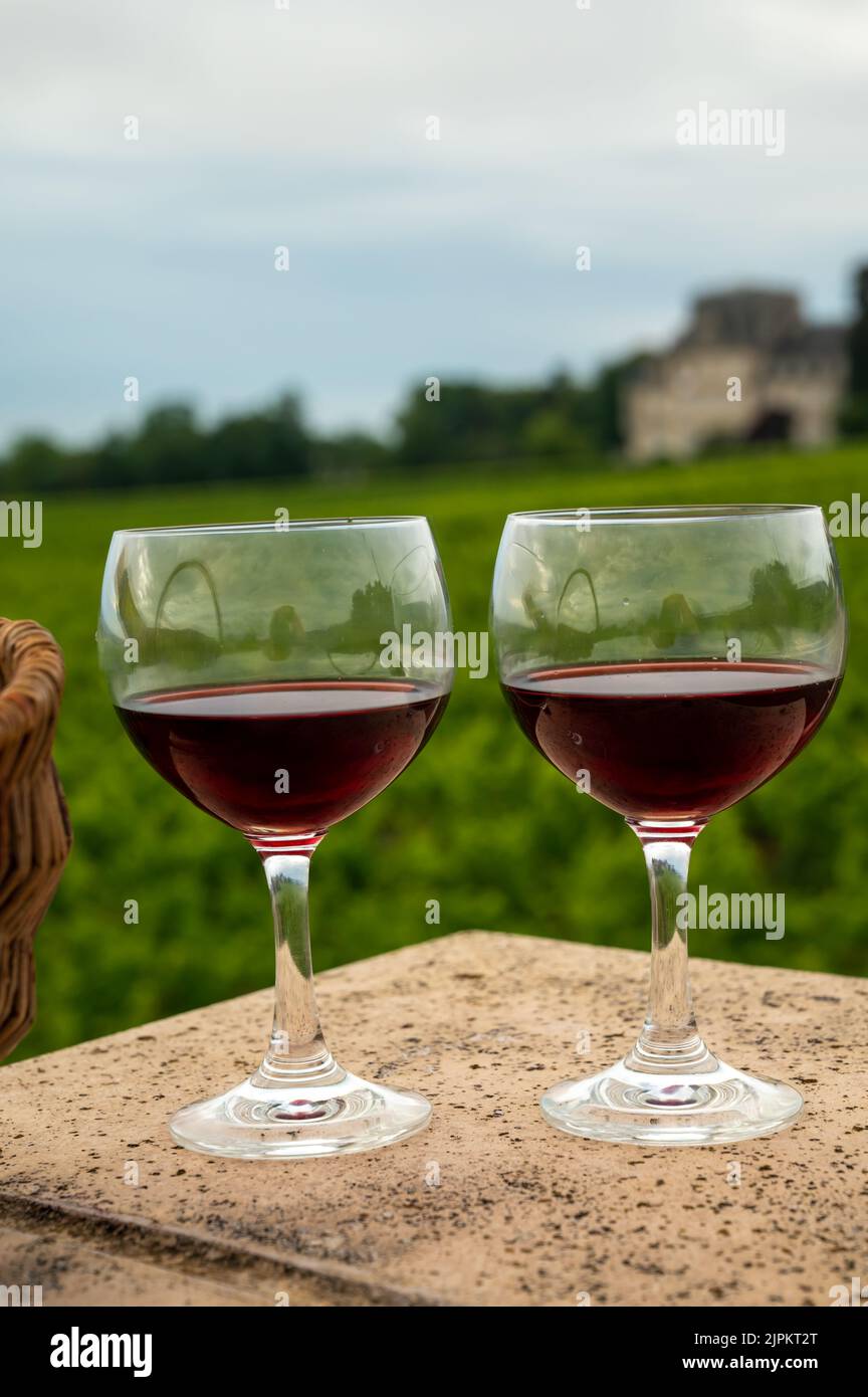 Dégustation de vin rouge sec de pinot noir en verres sur les vignobles de première et de grande cru dans la région viticole de Bourgogne près du village de Vosne-Romanée, en France Banque D'Images