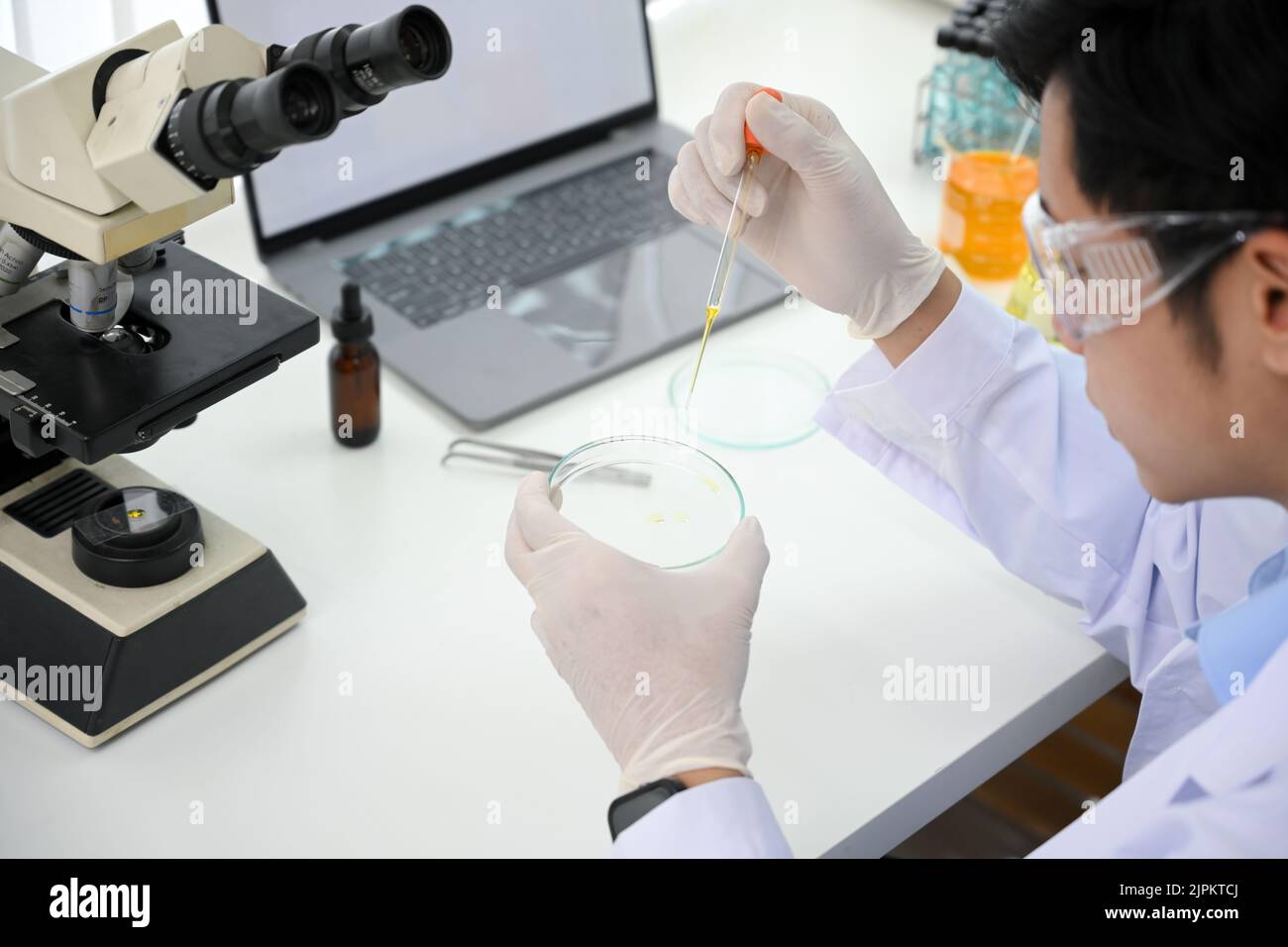 Beau jeune scientifique asiatique ou chercheur médical ajuster l'échantillon dans une boîte de Petri en laboratoire. Image rapprochée Banque D'Images