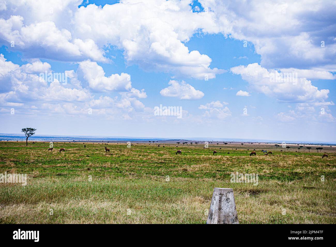 Maasai Mara National Game Reserve Park Narok County Kenya Afrique de l'est paysages panoramiques vues panoramiques prairies Savannah Great Rift Valley Banque D'Images