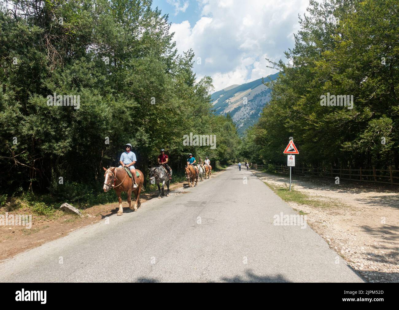 Pescasseroli, Abruzzo, Italie - Equitation sur la chaîne des Apennins Maountains Banque D'Images