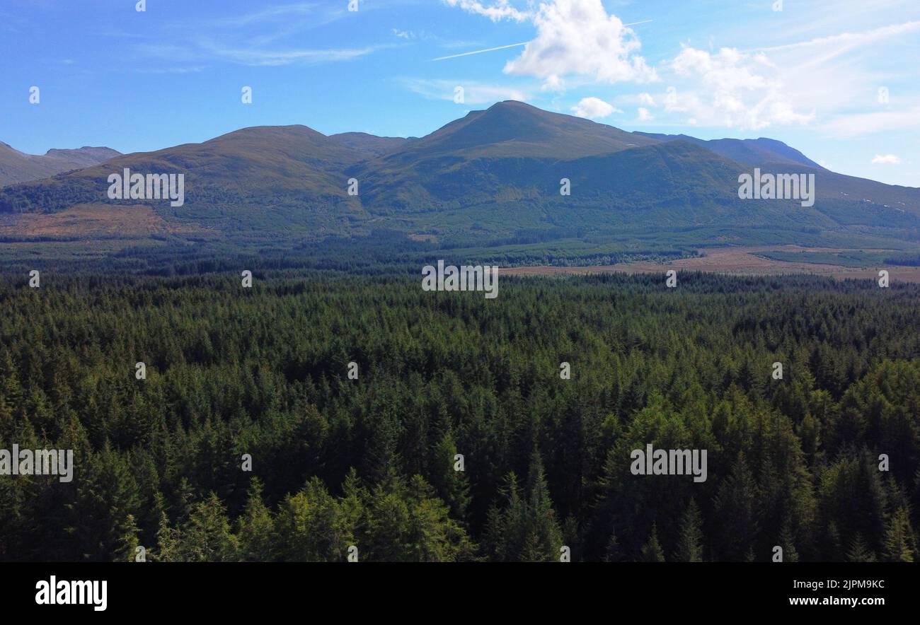Vue aérienne de la plus haute montagne de Grande-Bretagne - Ben Nevis - avec des pins en premier plan - photo: Geopix Banque D'Images