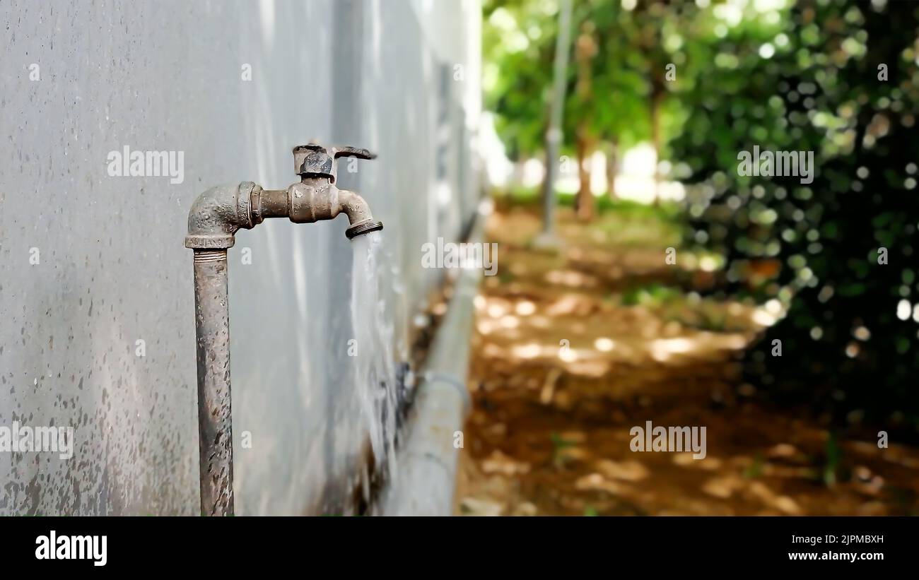 Eau du jardin du robinet pour l'arrosage des plantes dans le jardin. Banque D'Images