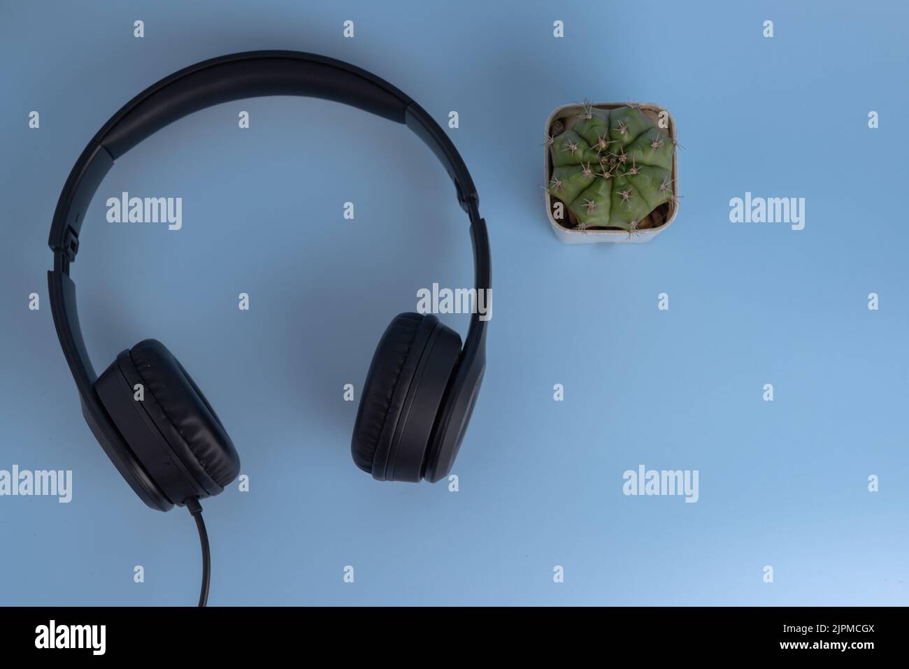 Technologie numérique musique divertissement communication et diffusion multimédia écouteurs et cactus sur fond de vue. Banque D'Images