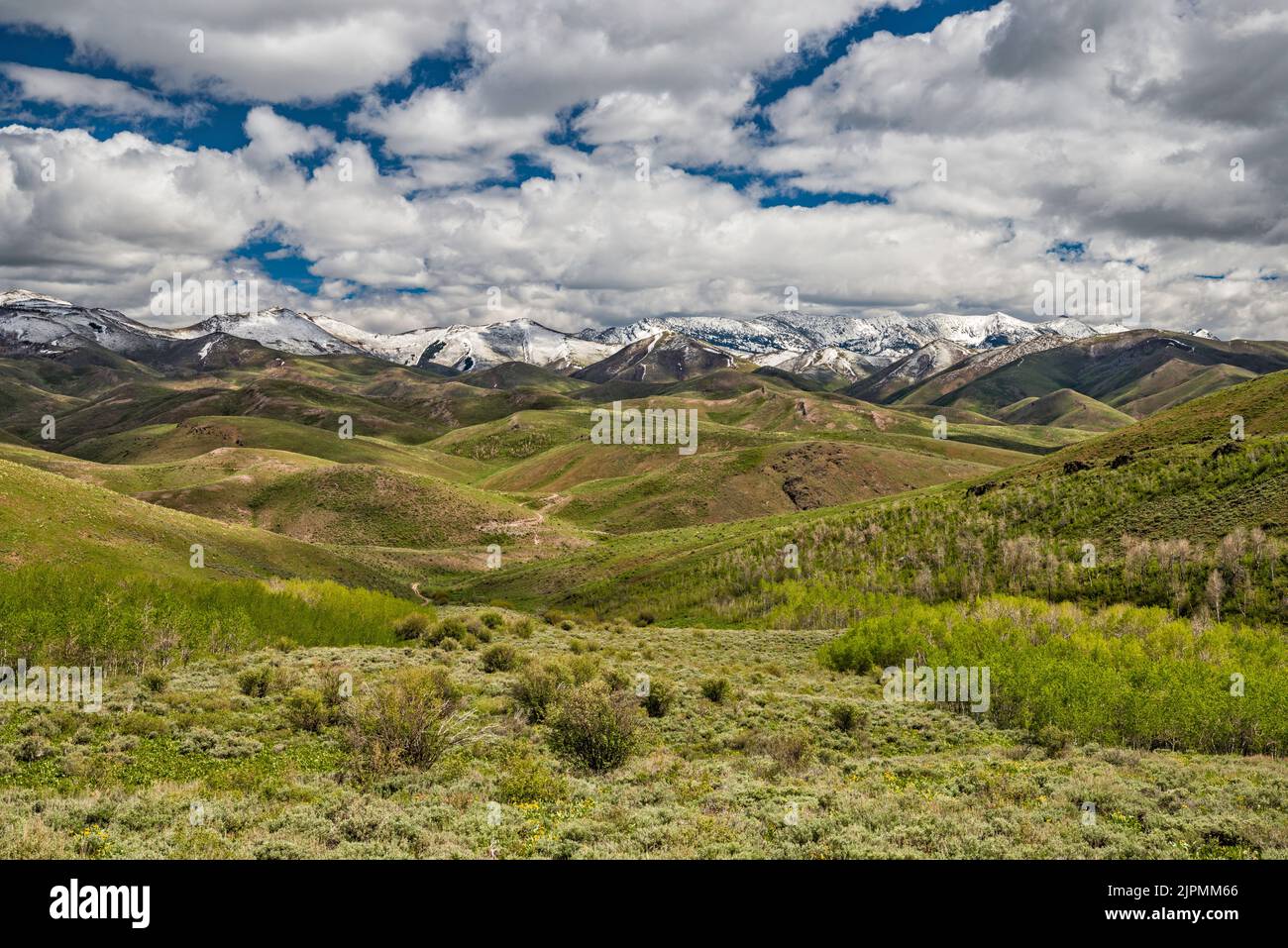 Montagnes de l'indépendance, vue depuis le sommet Maggie, sur le bassin Bull Run, forêt nationale Humboldt-Toiyabe, Nevada, États-Unis Banque D'Images