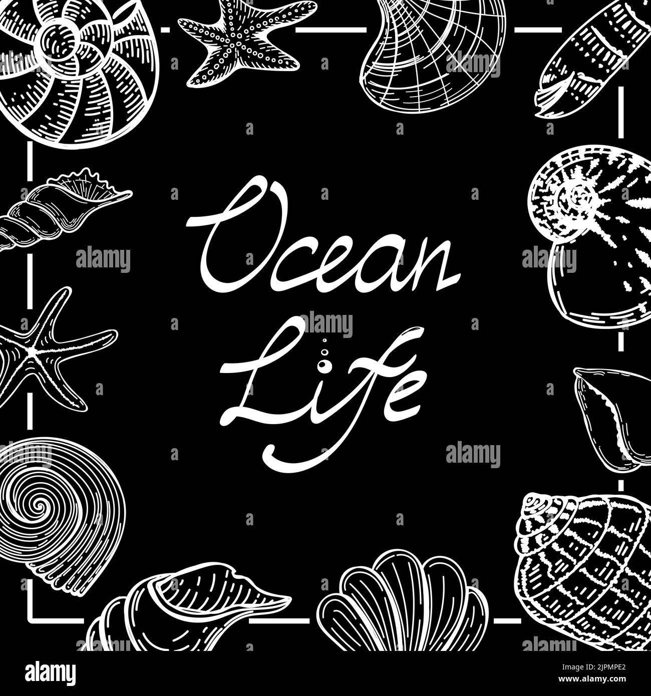 Modèle de bannière de style nautique. Coquillages et étoiles de mer dessinés à la main dans un style d'esquisse. La vie océanique. Police manuscrite. Modèle pour un adv sur le thème nautique Illustration de Vecteur