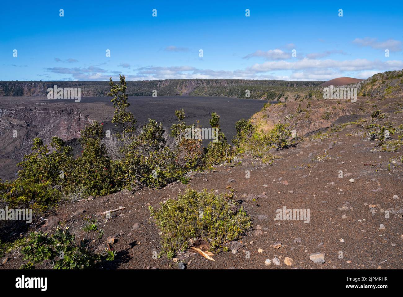 champ de lave du volcan kilauea et cratère de halemaumau dans le parc national des volcans d'hawaï Banque D'Images