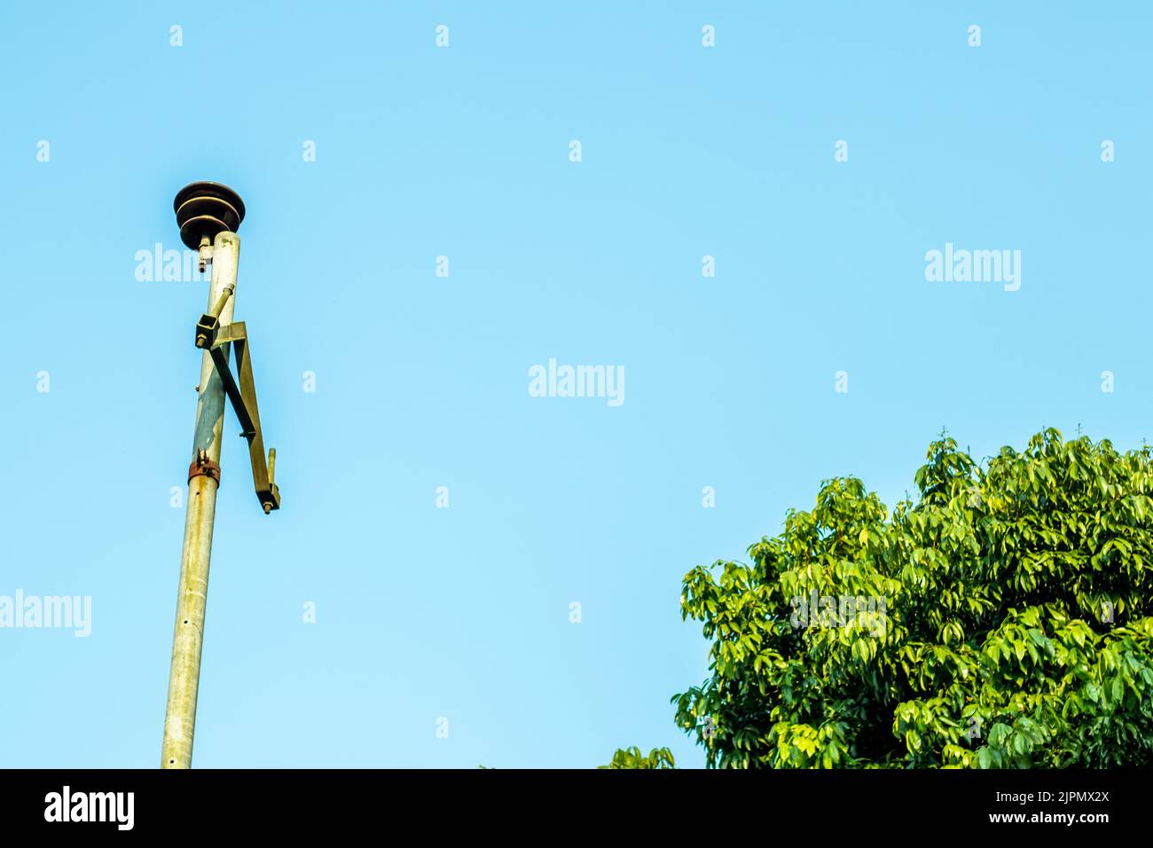 Feuilles et branches d'arbre de Litchi et poteau d'électricité abandonné sur fond bleu ciel Banque D'Images