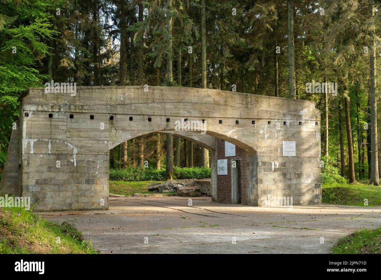 France, Seine Maritime, Ardouval, Forêt d'Eawy, V1 du Val Ygot site // France, Seine-Maritime (76), Ardouval, forêt d'Eawy, site de V1 du Val Ygot, Banque D'Images