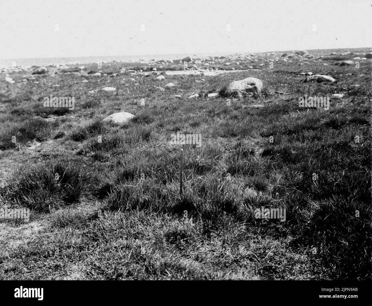Règlement pour Vigg. 20/5-1936.boet à la canne. Boplats för vigg. 20/5-1936.Boet vid käppen. Banque D'Images