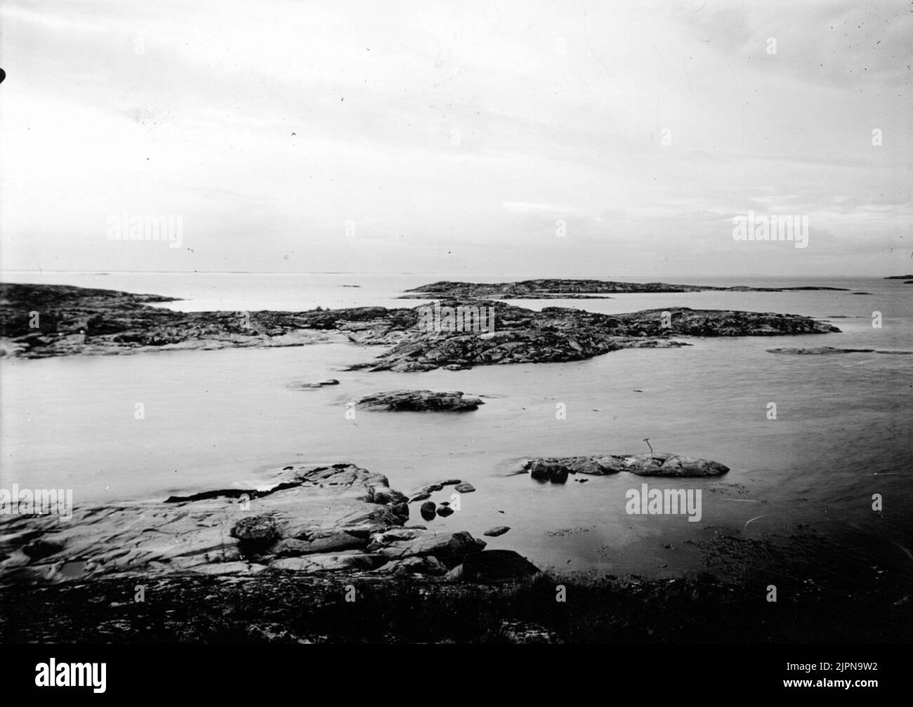 Sites de couverture pour le steron argenté (Sterna Arctica). Häckplatser för Silvertärna (Sterna arctica). Banque D'Images