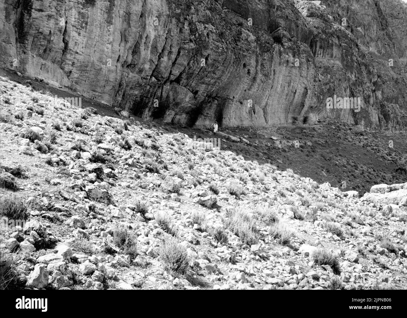 Pyrrhocorax-hedge area or aded (a corbeau oiseau) hedge site for pyrrhocorax = couronne alpine, à kantara électrique, Algérie la figure blanche au milieu de l'image indique l'emplacement de l'entrée de la colonie Pyrrhocorax-häckplats El Kantara (en krkkfågel) Häplåckföka, El Kranckrax, El Kranka = Algeriet Den hvita gestalten midt i bilden anger platsen för ingången till boplatsen Banque D'Images