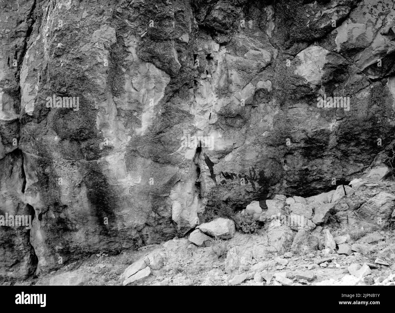 Résidence pour Domelaa Leucura (désert de recherche) Col de SFA, Algérie Note et une flèche Boplats för Dromelaa leucura (ökenlärka) Col de SFA, Algeriet OBS och en pil Banque D'Images