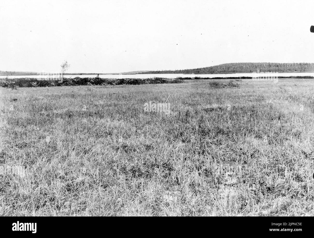 Règlement pour Tringa?, 23 juin 1919. Boplats för Tringa ?, 23 juni 1919. Banque D'Images