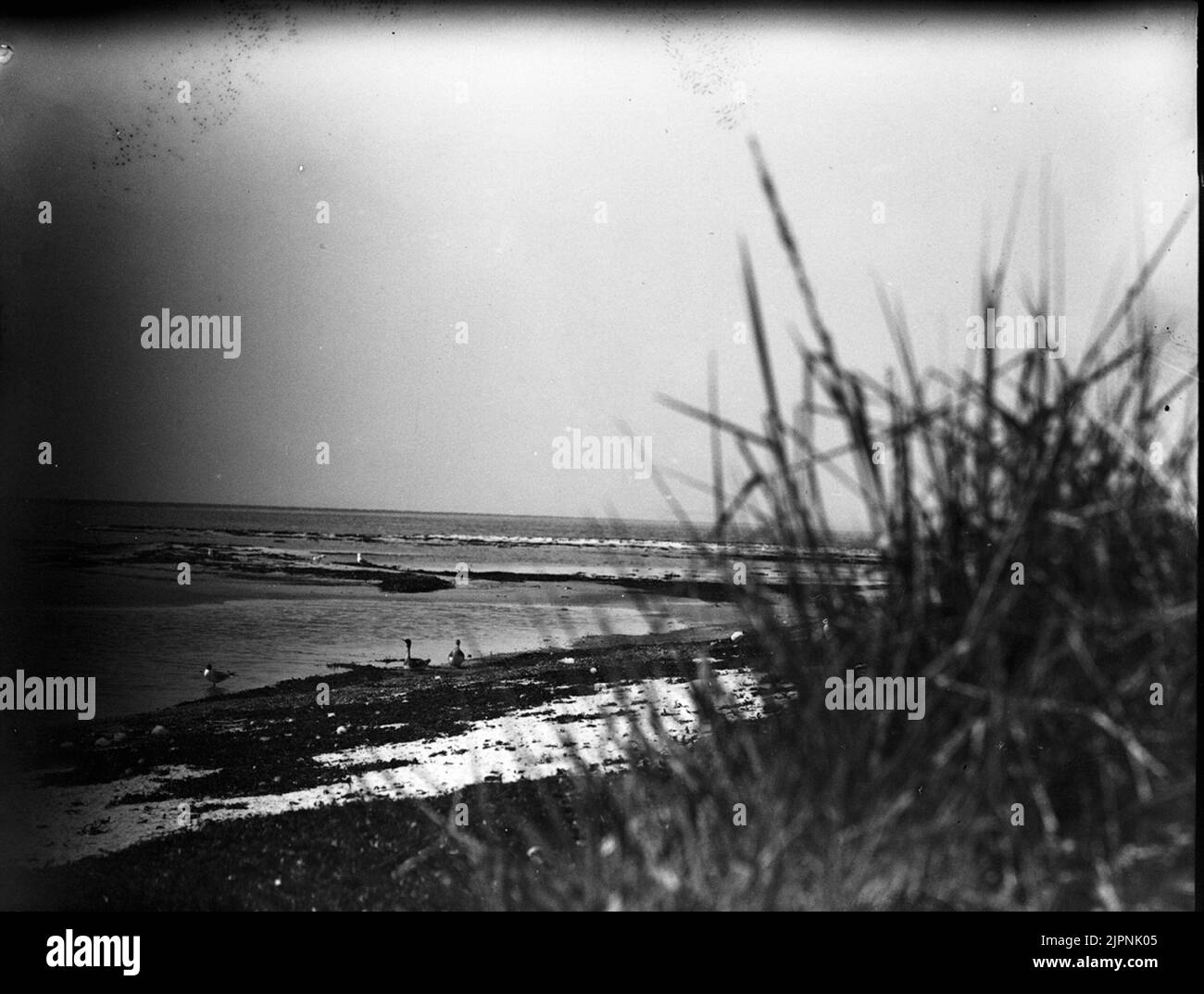 Petites fissures (les plus mauvaises) Småskrak (mest dåliga) Banque D'Images