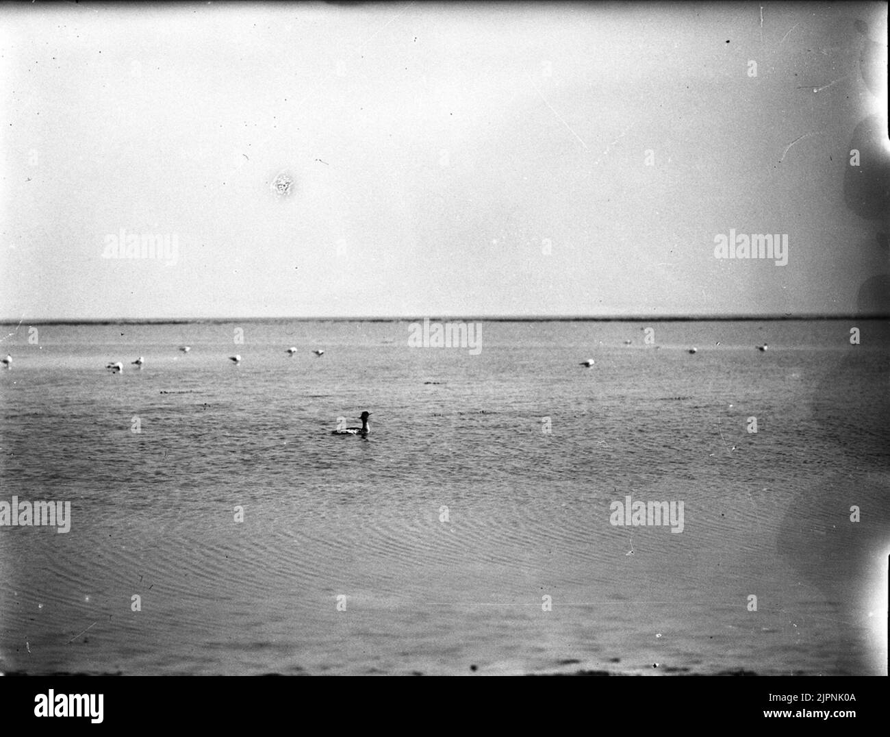 Petites fissures (les plus mauvaises) Småskrak (mest dåliga) Banque D'Images