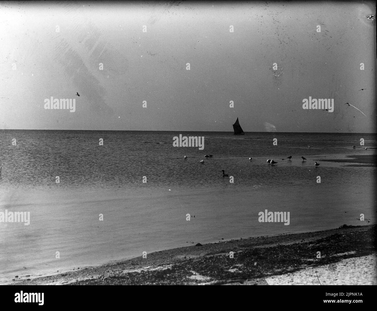 Petites fissures (les plus mauvaises) Småskrak (mest dåliga) Banque D'Images