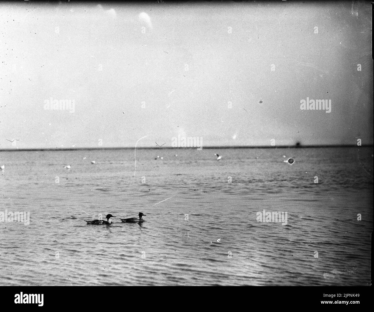 Petites fissures à l'extérieur de Kläppen Småskrakpar utanför Kläppen Banque D'Images