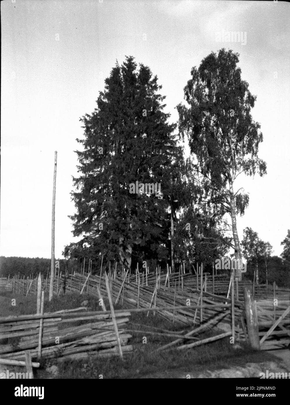 Village de Väsmestorp. Magnifique anneau de juge sur la crête au nord de Väsmestorp. Väsmestorps par. Vacker domarring på åsen norr om Väsmestorp. Banque D'Images