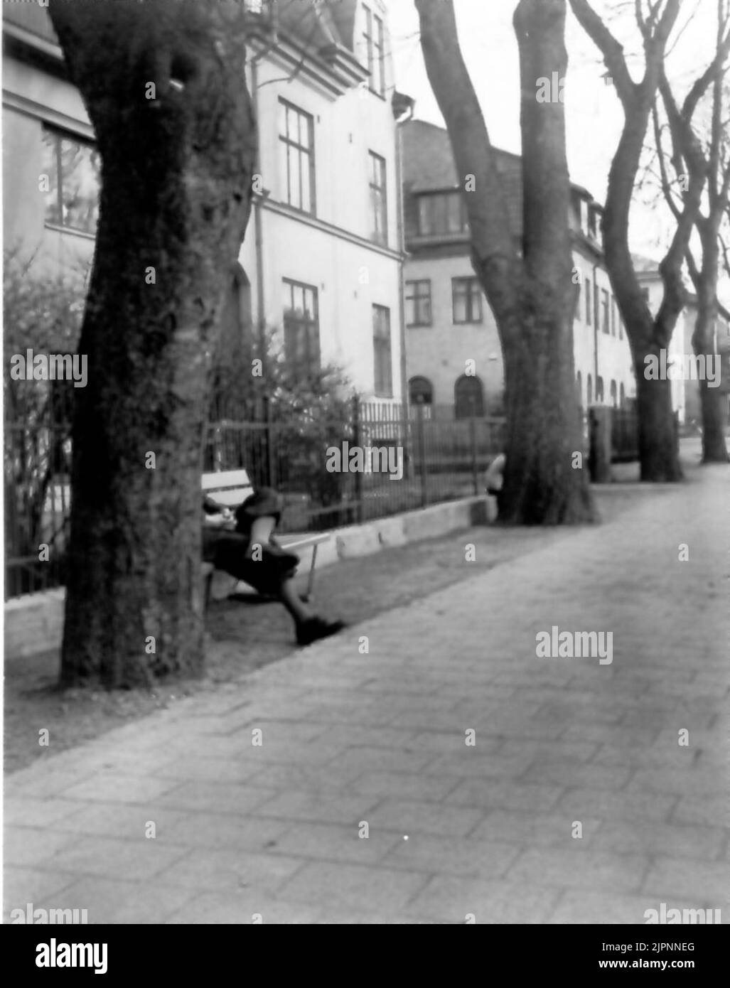 Siesta sur St. Olofsgatan '. De l'exposition' Falköping dans la photo '1952. 'siesta på S:t Olofsgatan'. Fån utställningen 'Falköping i bild' 1952. Banque D'Images