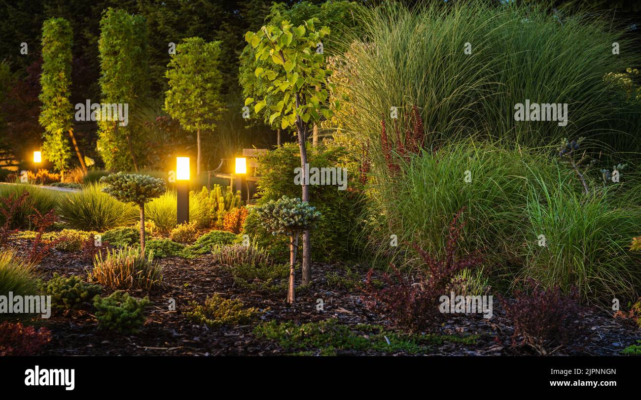 Coloré plein de jardin décoratif d'arrière-cour illuminé par l'éclairage de paysage extérieur. Nuit dans un jardin. Banque D'Images