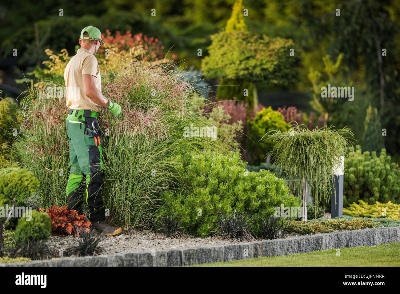 Jardinier caucasien professionnel dans sa 40s exécution jardin plantes de jardin d'arrière-cour contrôle. Belles plantes de jardin de Rockery mature. Banque D'Images