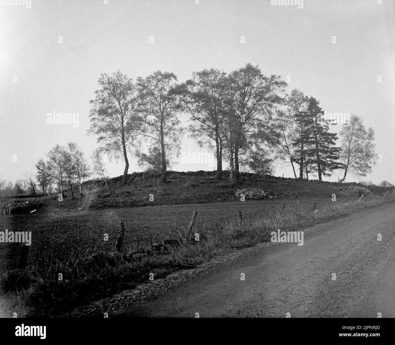 Rose de l'âge de bronze à Cartharden. Bäldersröse i Kartagården. Banque D'Images