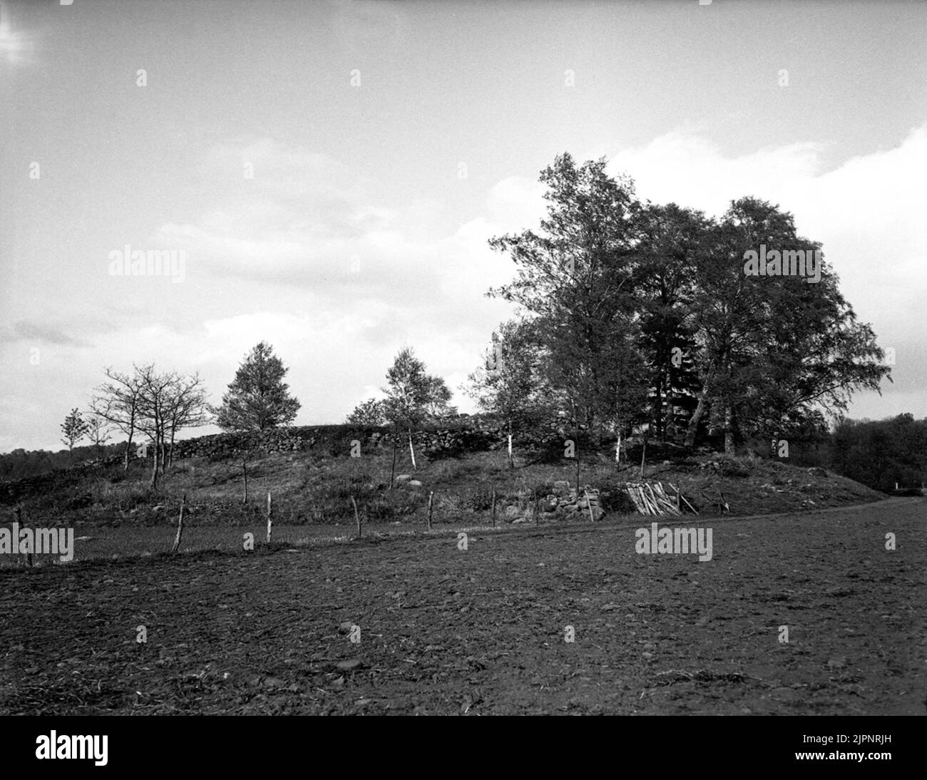 Rose de l'âge de bronze à Cartharden. Bäldersröse i Kartagården. Banque D'Images