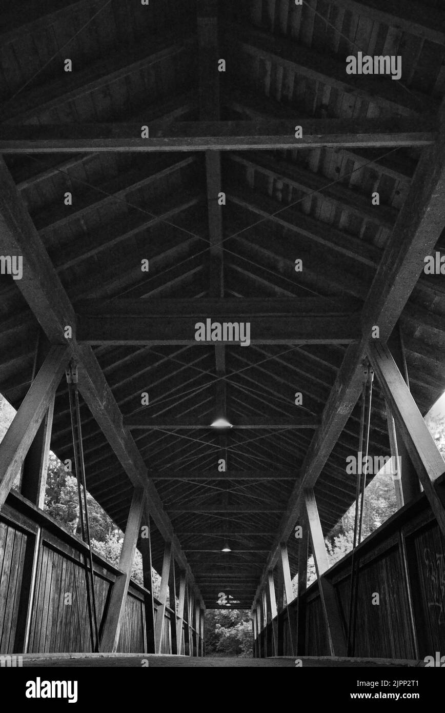 Un cliché en échelle de gris de la structure en bois Banque D'Images