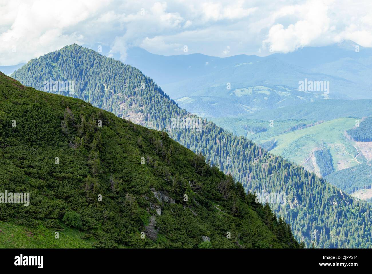 L'aube magique de l'été dans les montagnes carpathes. Région montagnes Maramures, Mont PIP Ivan, Ukraine. Papier peint photo dynamique. Banque D'Images