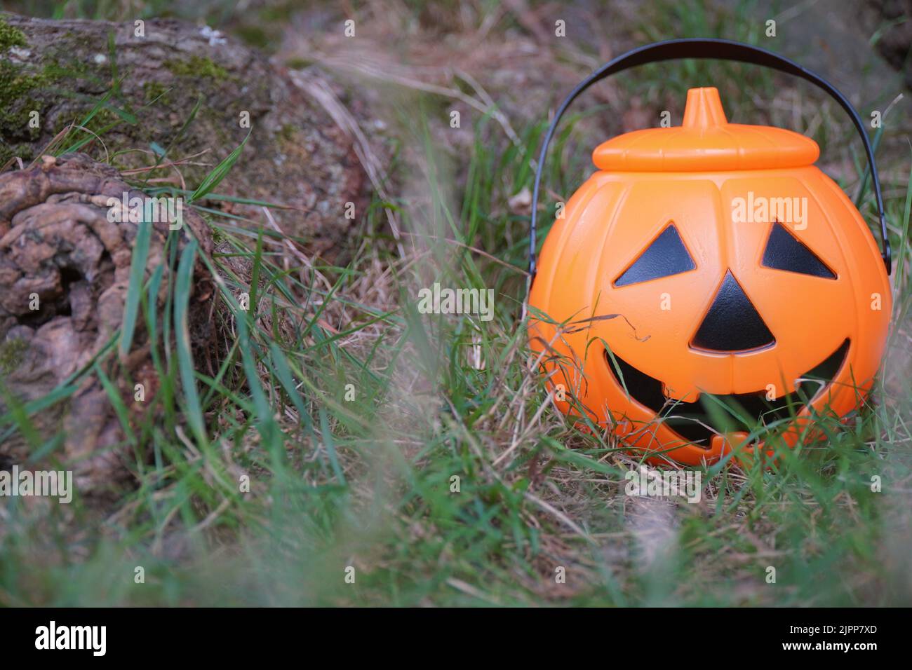 Citrouille d'Halloween cachée dans l'herbe Banque D'Images