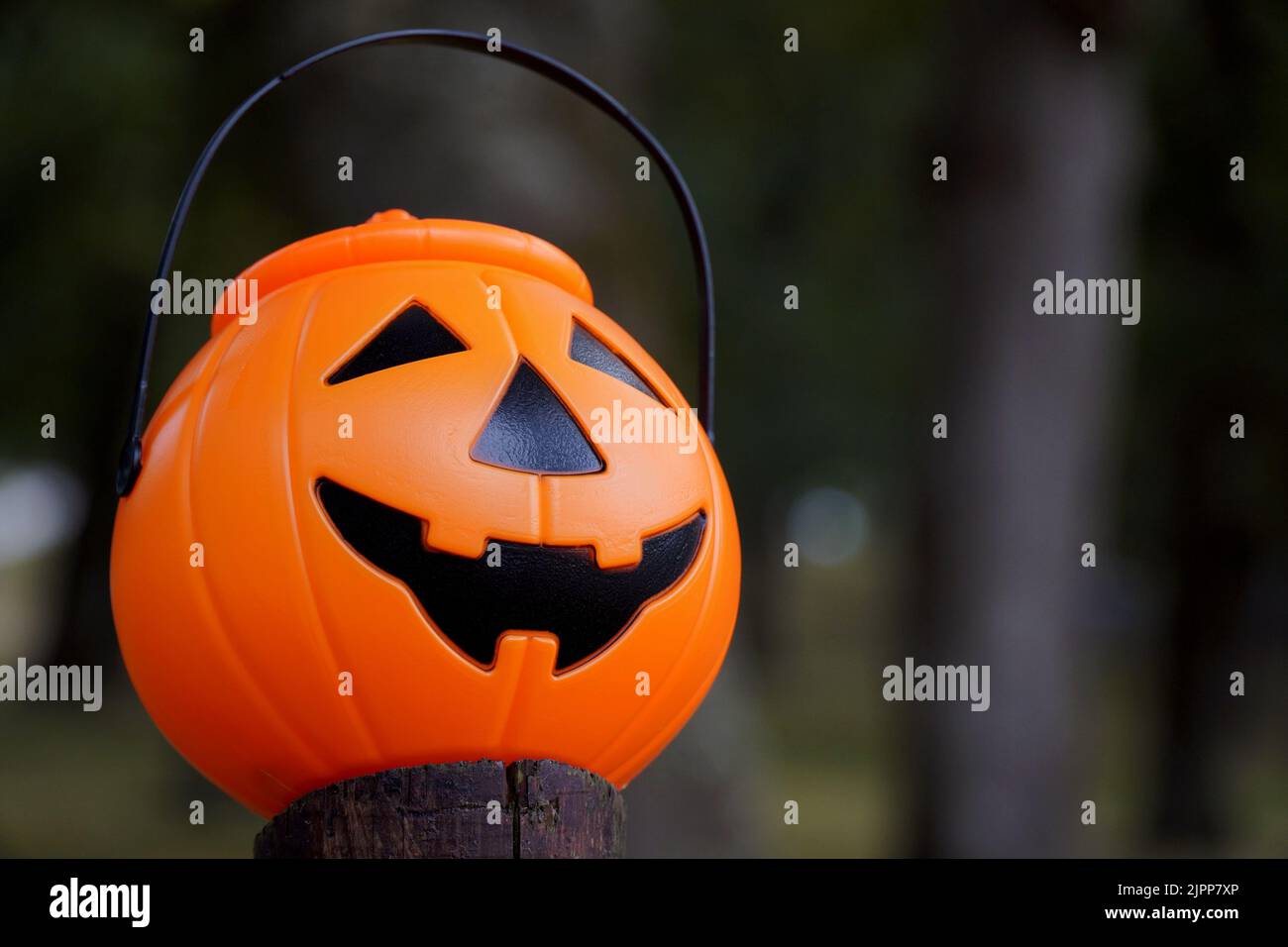 Citrouille d'Halloween au premier plan avec arbres en arrière-plan Banque D'Images