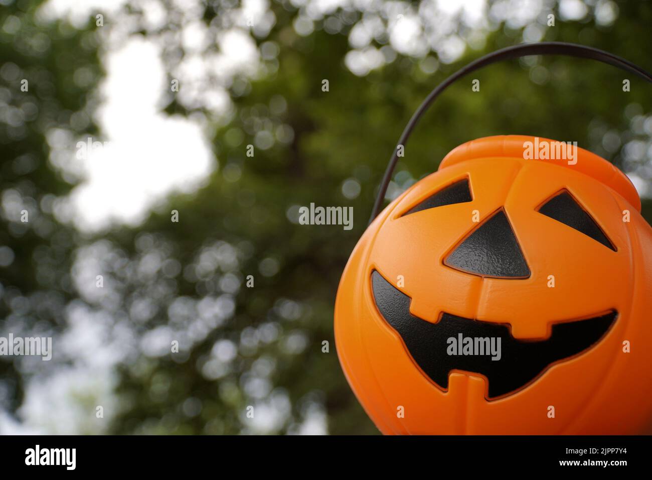 Citrouille d'Halloween au premier plan avec arbres en arrière-plan Banque D'Images