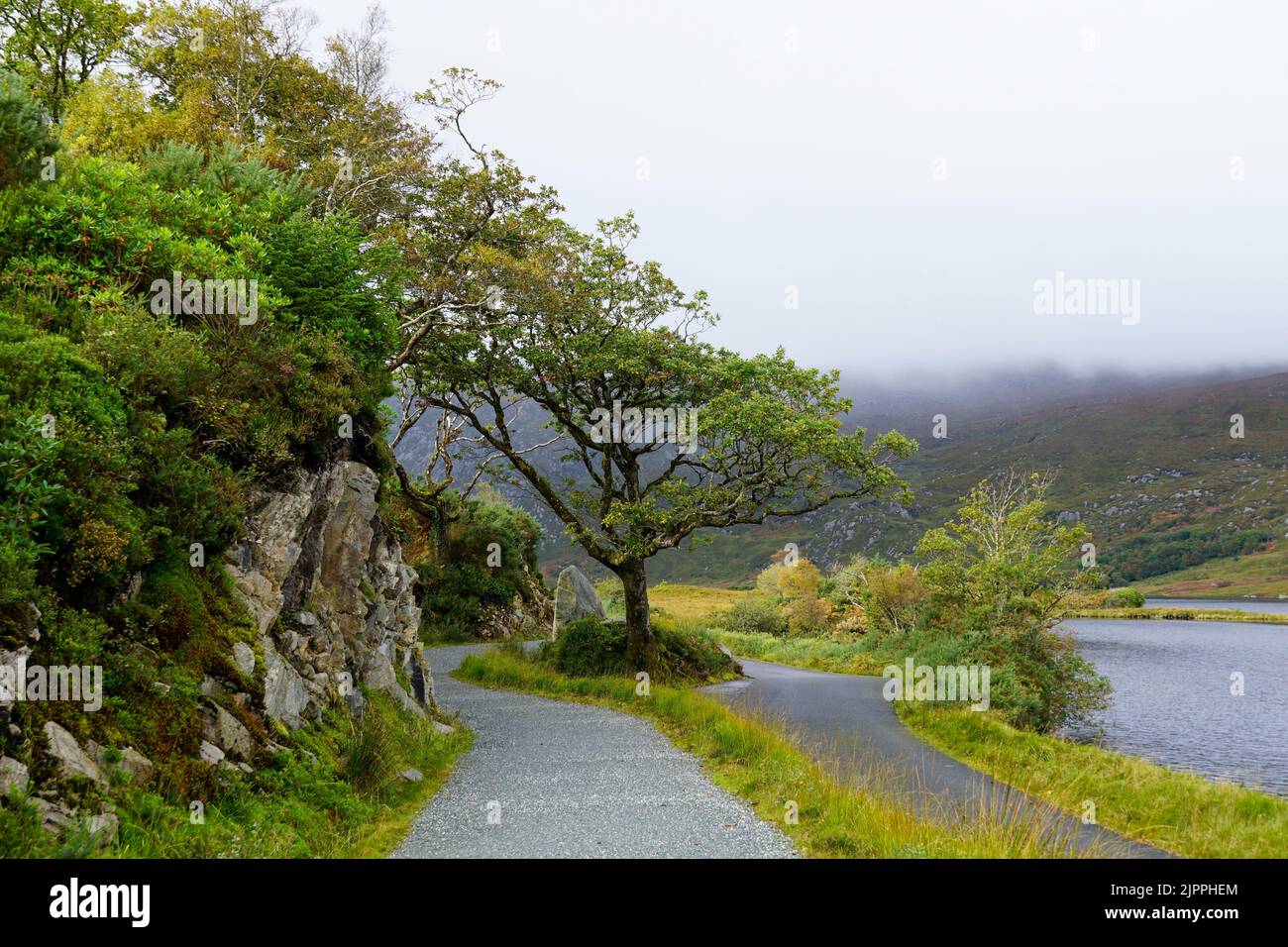 Parc national de Glenveagh, sentier menant au château de Glenveagh. Comté de Donegal, Irlande Banque D'Images