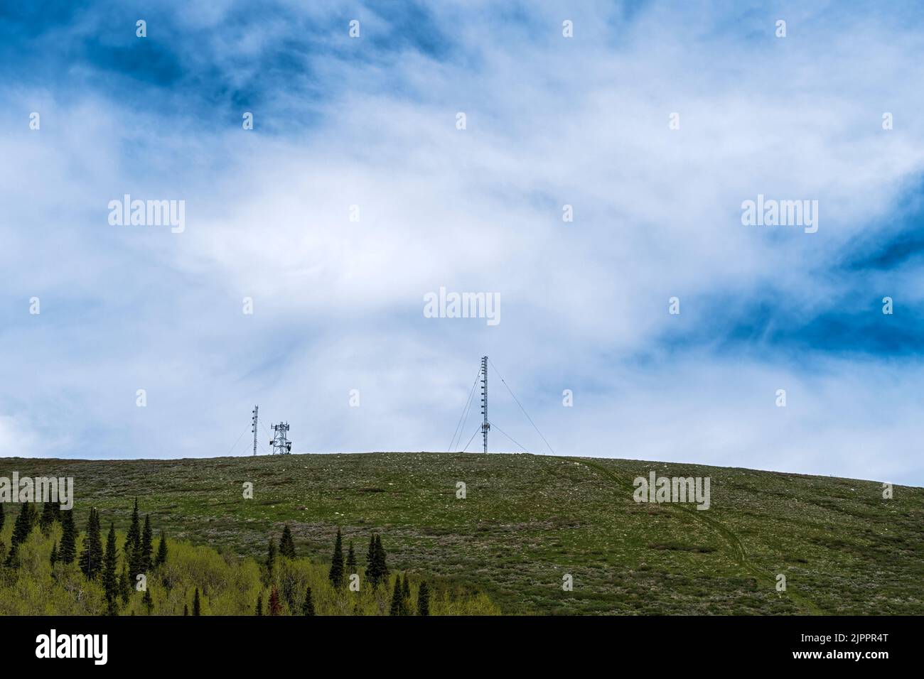 Tours à micro-ondes sur une colline dans la forêt nationale Sawtooth, Idaho, Etats-Unis Banque D'Images