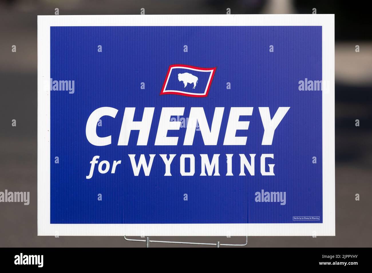 2022 le chantier de campagne du Congrès du Wyoming signe pour la réélection de Liz Cheney à la Chambre des représentants des États-Unis Banque D'Images