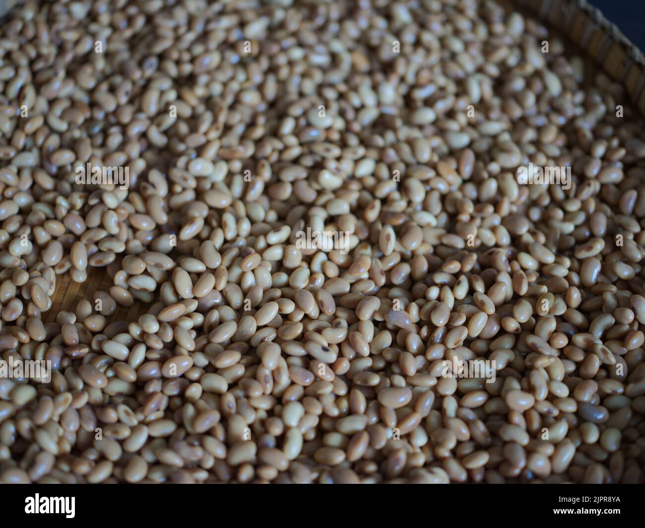 Gros plan la texture de la graine de soja pour LA FAÇON de Soy produit: Brut tempeh fait maison . Concept de nourriture végétarienne saine Banque D'Images