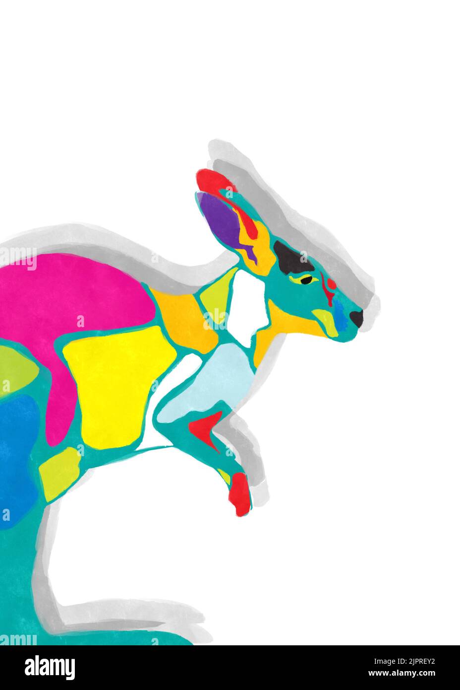 Dessin aquarelle d'un kangourou de couleur sur fond blanc Banque D'Images