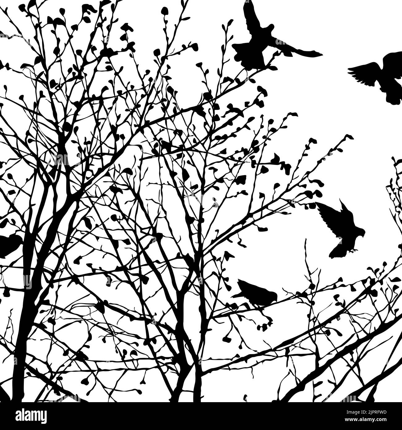 Illustration de fond avec des silhouettes de pigeons dans les arbres, vector Banque D'Images