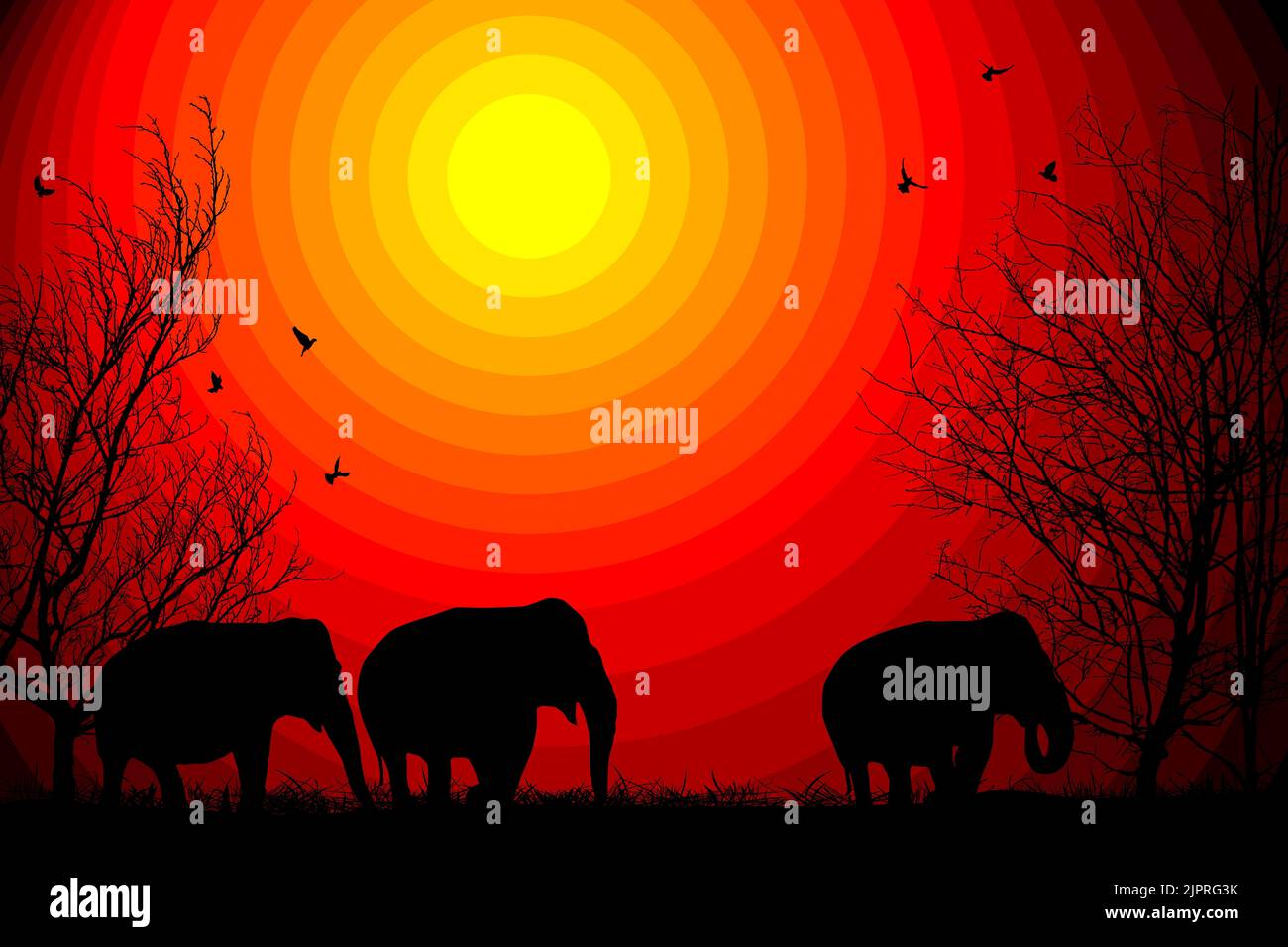 Des éléphants et des silhouettes d'arbres sur fond de coucher de soleil africain, illustration vectorielle Banque D'Images