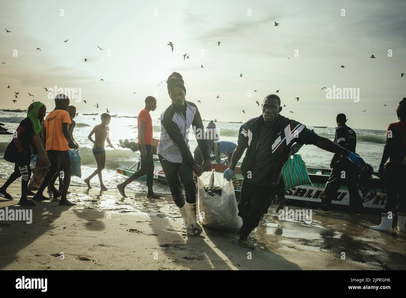 Arrivée des pêcheurs avec des sardines en fin d'après-midi, les pêcheurs chargent les sardines dans des sacs du bateau sur la plage et là sur Banque D'Images